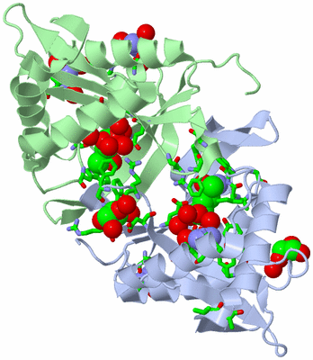 Image Asym./Biol. Unit - sites