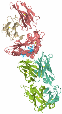 Image Biological Unit 2