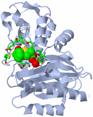 Image Biol. Unit 1 - sites