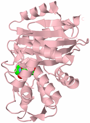 Image Biological Unit 3