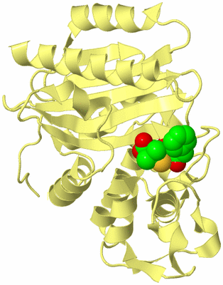 Image Biological Unit 4