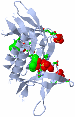 Image Biol. Unit 1 - sites