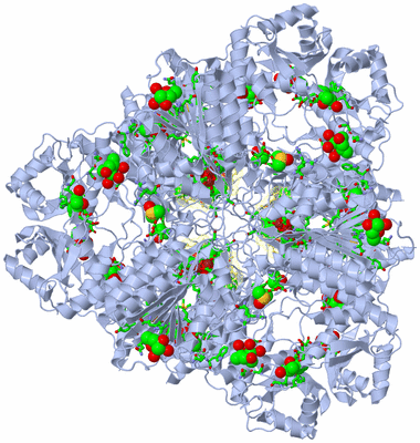 Image Biol. Unit 1 - sites