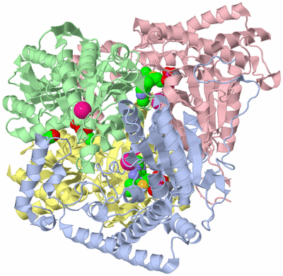 Image Asym./Biol. Unit