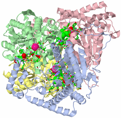 Image Asym./Biol. Unit - sites