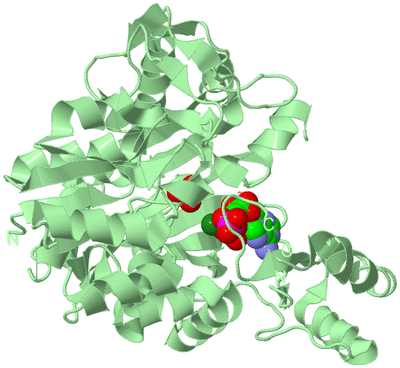 Image Biological Unit 2