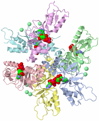 Image Asym./Biol. Unit