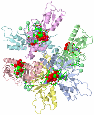 Image Asym./Biol. Unit - sites