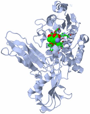 Image Biol. Unit 1 - sites