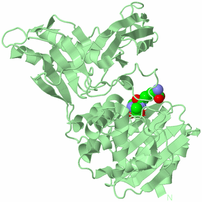 Image Biological Unit 2