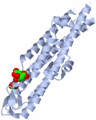 Image Biological Unit 1