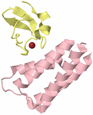 Image Biological Unit 2