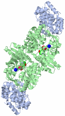 Image Biological Unit 1