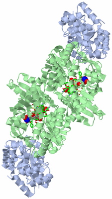 Image Biol. Unit 1 - sites