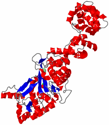 Image Asym./Biol. Unit