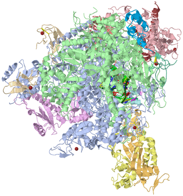 Image Asym./Biol. Unit