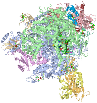 Image Asym./Biol. Unit - sites