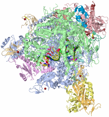 Image Asym./Biol. Unit