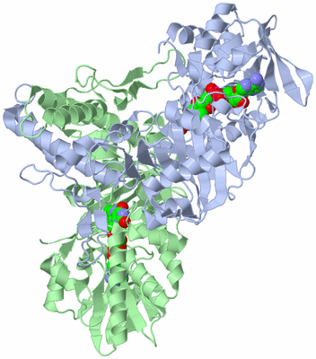 Image Asym./Biol. Unit