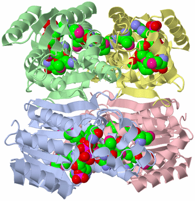 Image Asym./Biol. Unit