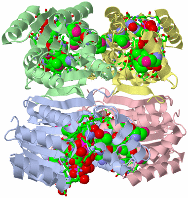 Image Asym./Biol. Unit - sites