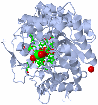 Image Biol. Unit 1 - sites