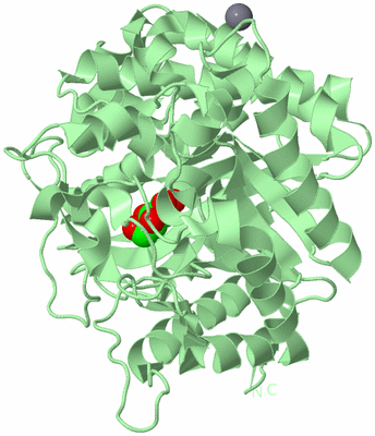 Image Biological Unit 2