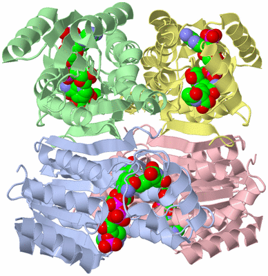 Image Asym./Biol. Unit