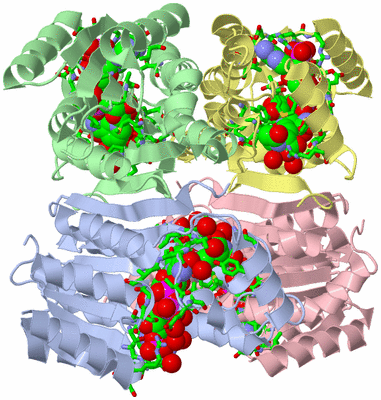 Image Asym./Biol. Unit - sites