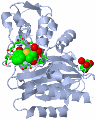 Image Biol. Unit 1 - sites