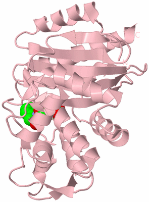 Image Biological Unit 3