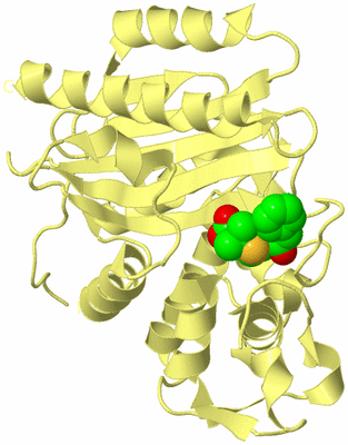 Image Biological Unit 4