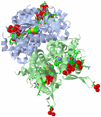 Image Biol. Unit 1 - sites