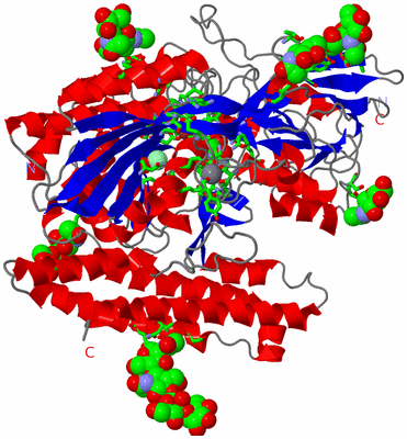 Image Asym. Unit - sites