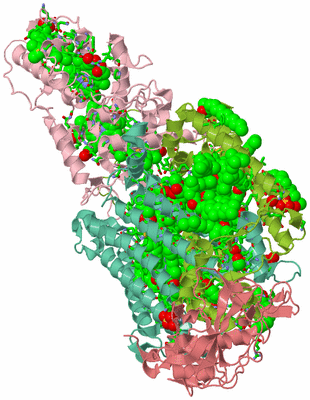 Image Asym./Biol. Unit - sites