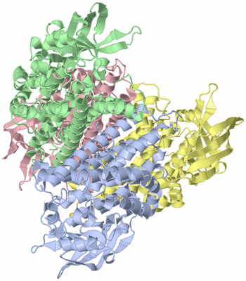 Image Asym./Biol. Unit