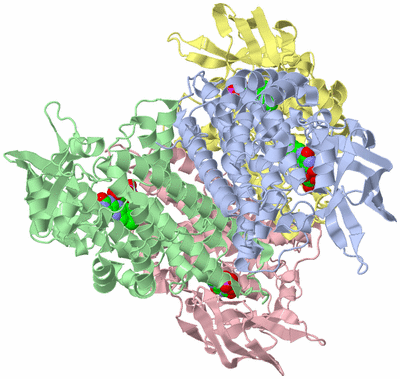 Image Asym./Biol. Unit