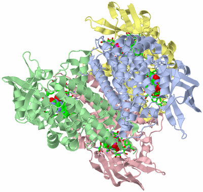 Image Asym./Biol. Unit - sites