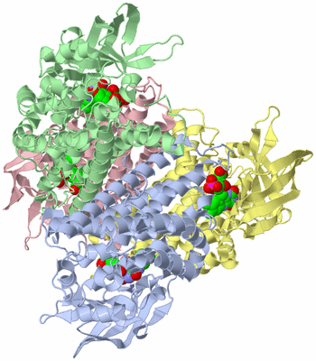 Image Asym./Biol. Unit