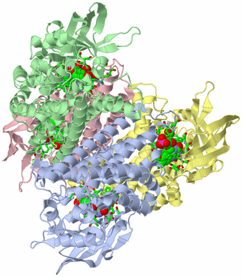 Image Asym./Biol. Unit - sites