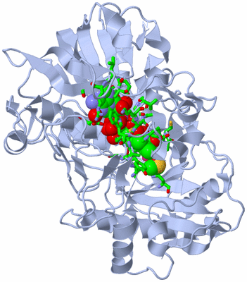 Image Biol. Unit 1 - sites