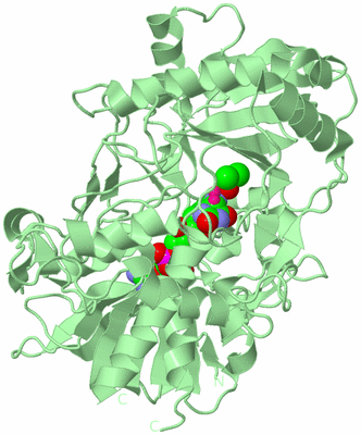 Image Biological Unit 2