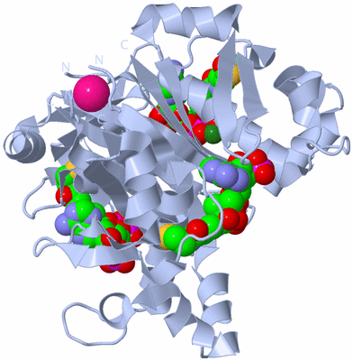 Image Biological Unit 1