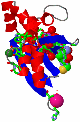 Image Asym. Unit - sites