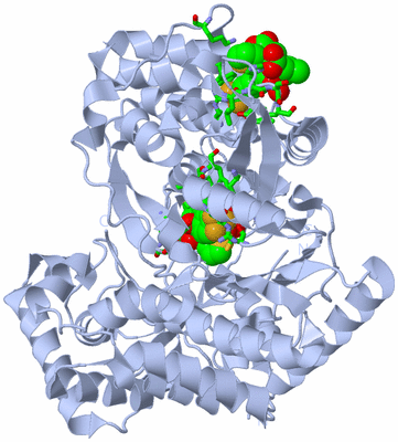 Image Biol. Unit 1 - sites