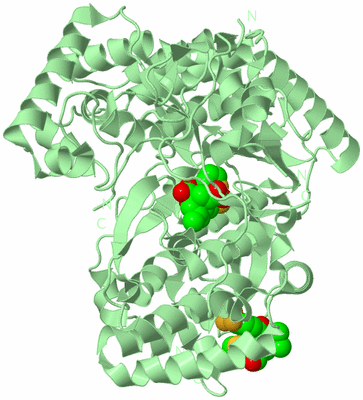 Image Biological Unit 2