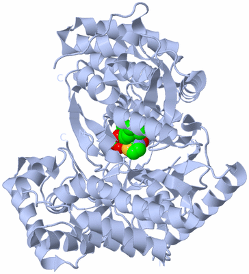 Image Biological Unit 1