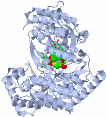 Image Biol. Unit 1 - sites