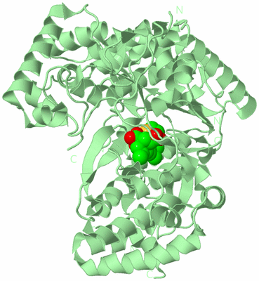 Image Biological Unit 2