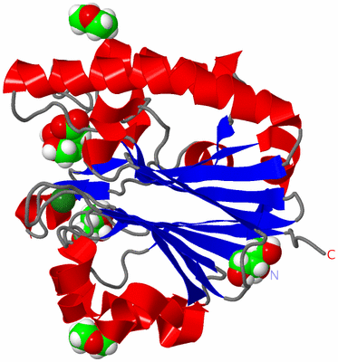 Image Asym./Biol. Unit